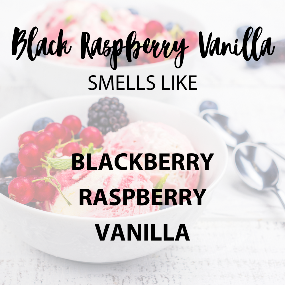Black Raspberry Vanilla Soy Candle - Wexford Candle Co.