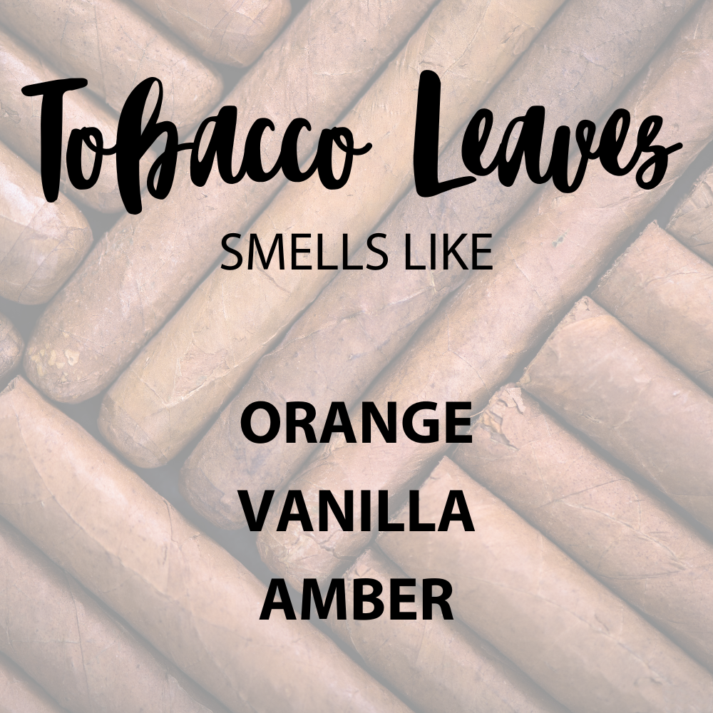 Tobacco Leaves Soy Candle - Wexford Candle Co.