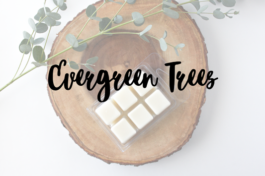 Evergreen Trees Soy Wax Melt