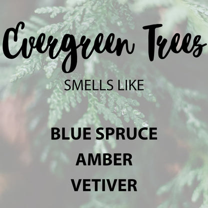 Evergreen Trees scent notes
