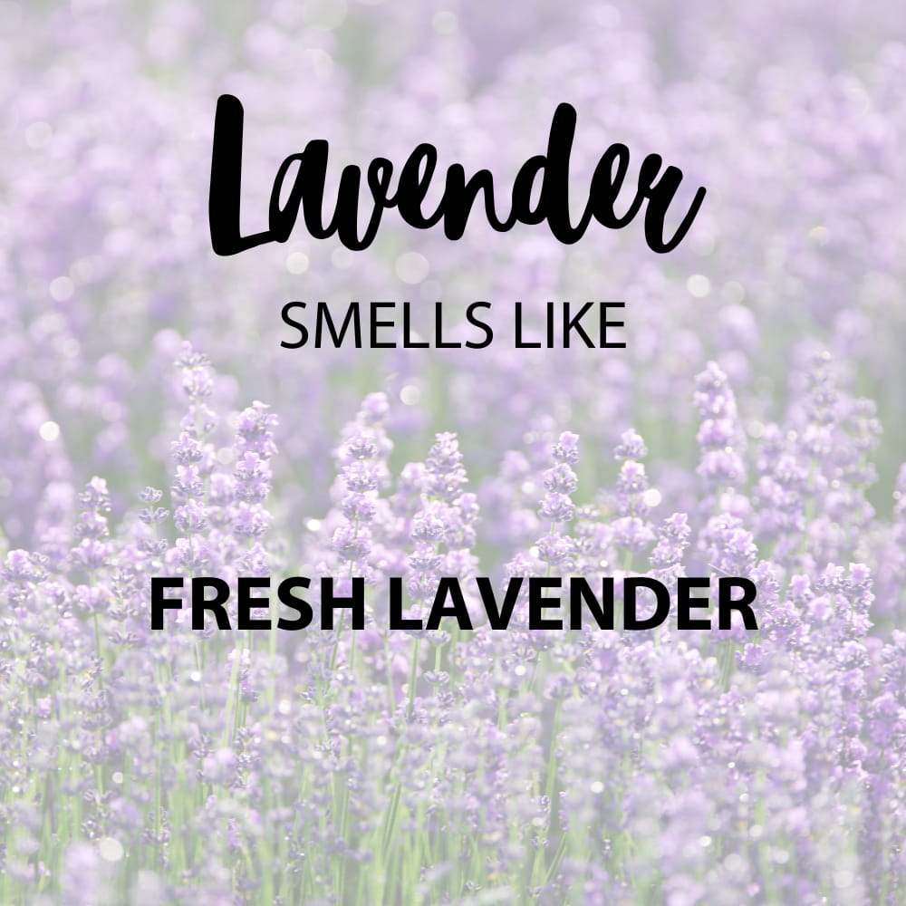 Lavender scent notes