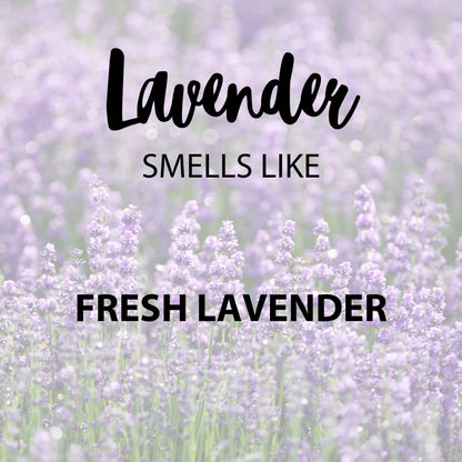 Lavender scent notes