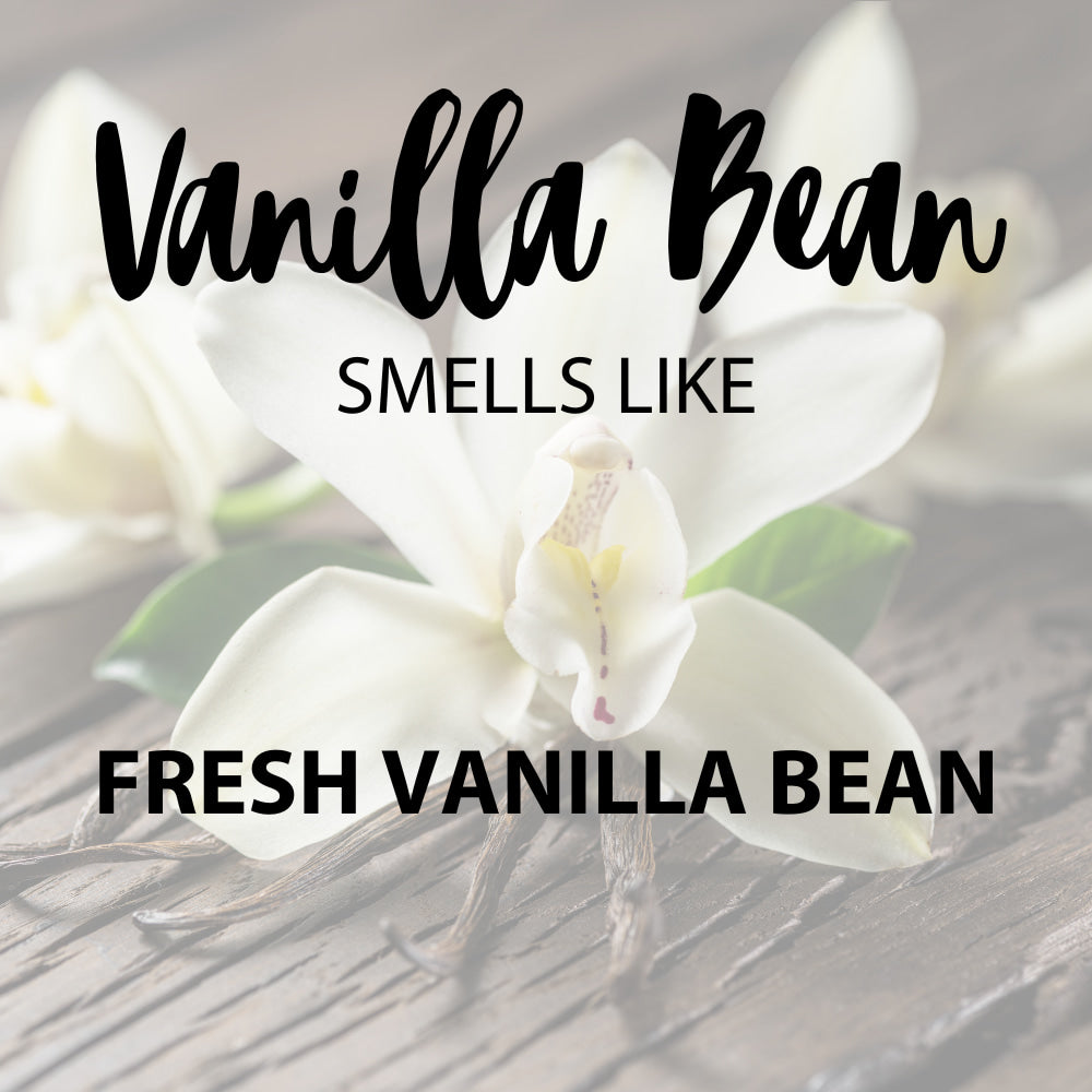 Vanilla Bean scent notes